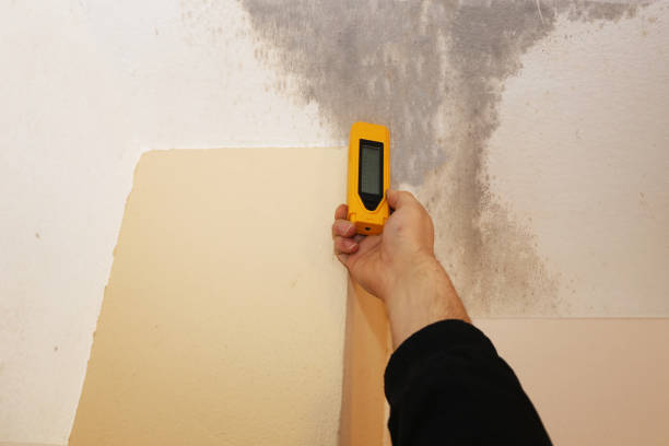 Best Mold Documentation for Insurance Claims  in Veedersburg, IN