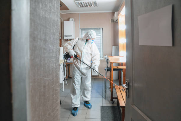 Best Asbestos and Lead Testing During Mold Inspection  in Veedersburg, IN