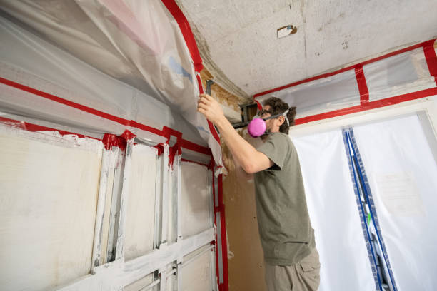 Best Environmental Consulting for Mold Prevention  in Veedersburg, IN