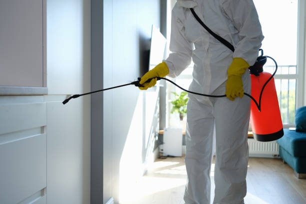 Best HVAC Mold Inspection and Cleaning  in Veedersburg, IN