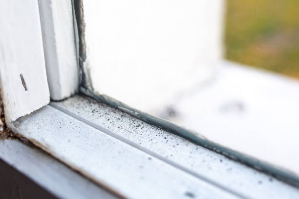 Best Real Estate Mold Inspection  in Veedersburg, IN