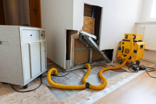 Best Biohazard Mold Removal  in Veedersburg, IN
