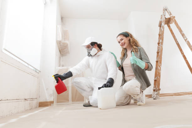 Biohazard Mold Removal in Veedersburg, IN