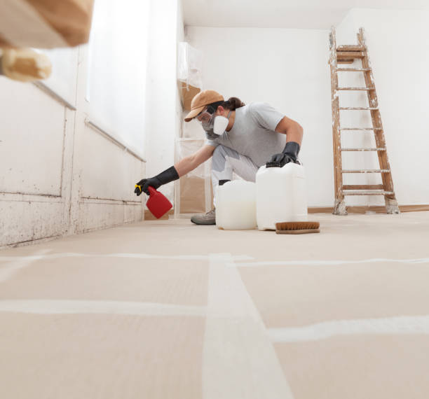 Best Post-Construction Mold Inspection  in Veedersburg, IN